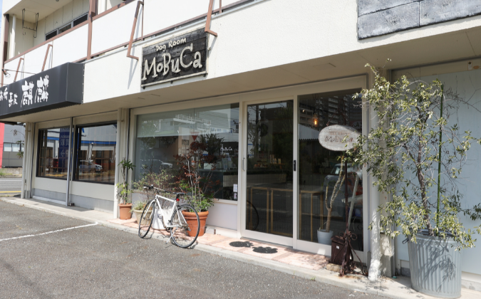 テスト８テスト８テスト８