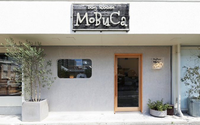 テスト投稿９です