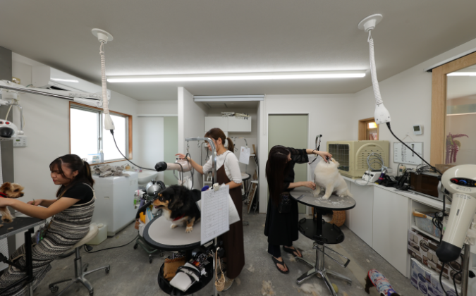 テスト投稿１０です