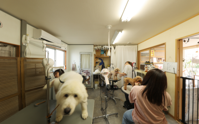 テスト８テスト８テスト８